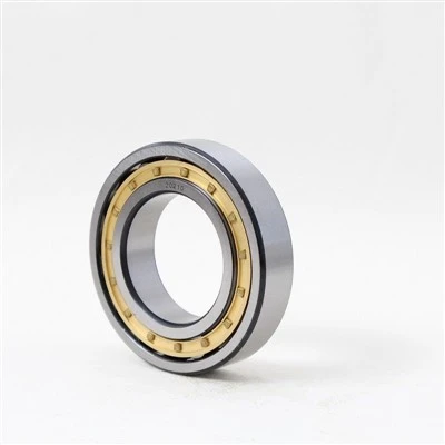 Cyfres NJ Bearing