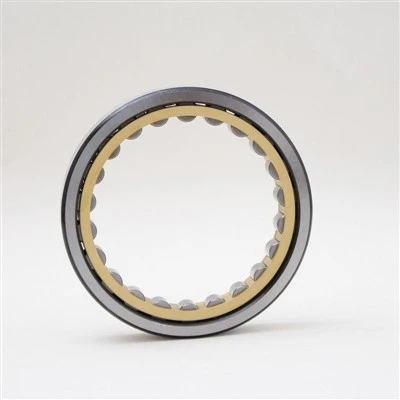 NU Cyfres Bearing